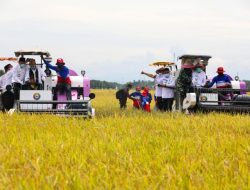 Pemerintah Meningkatkan Perekonomian Lokal di Aceh