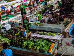 Mengapresiasi Pendekatan Kesejahteraan Demi Meredam Konflik di Papua