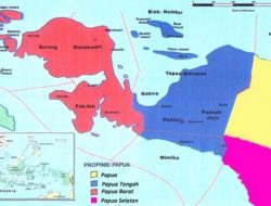 Pemekaran Wilayah Buah Perjuangan Orang Asli Papua