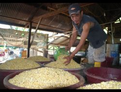 Perajin Tahu Tempe Jakarta Putus Asa, ini Alasannya