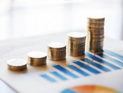 Mendukung Strategi Optimalisasi Pendapatan Negara