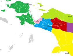 Pemekaran Wilayah Papua Perlu Dilakukan