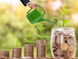 Iklim Investasi Hijau di Indonesia Prospektif