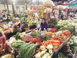 Pemerintah Terus Kembangkan Food Estate Antisipasi Krisis Pangan