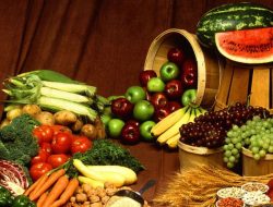 Food Estate Menjaga Ketahanan Pangan Nasional