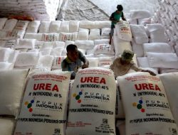 Mendukung Tata Kelola Pupuk Subsidi agar Tepat Sasaran