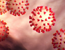 Pemerintah Optimalkan Vaksinasi di Tengah Kenaikan Kasus Covid