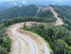 Pemerintah Kebut Pembangunan Jalan Trans Papua