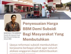 Pakar: Jika Dipaksakan Subsidi BBM akan Membuat Ciut Potensi APBN