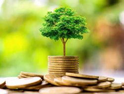 Eropa Berkomitmen Kembangan Investasi Hijau di Indonesia