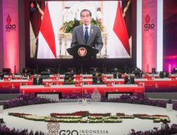 G20 Kesempatan Indonesia Realisasikan Kepentingan Nasional