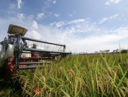 Komunitas KITA Petani Indonesia Dukung Dan Berharap  KTT G20 Memberi Solusi Dunia Pertanian