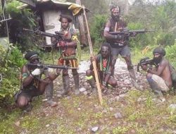 Mendukung Lembaga Adat Papua Turun Tangan Hadapi KST Papua