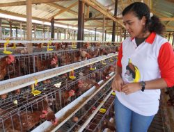 Tokoh Agama Ungkap Peran PYCH Memajukan Ekonomi Masyarakat Lewat Peternakan