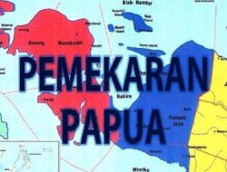 Pembentukan DOB Papua Demi Meredam Separatisme