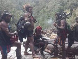 Mengecam Aksi Brutal KST Serang Warga Sipil di Papua