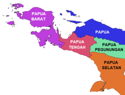 Komitmen Kuat Pemerintah Tetapkan Pemimpin DOB dari Orang Asli Papua