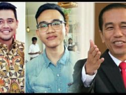 Hasil Putusan MK, Rakyat Melihat Adanya Dinasti Politik dikeluarga Jokowi