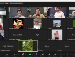 Putusan MK Berpotensi Timbulkan Keresahan Sosial, Perlu Dimitigasi