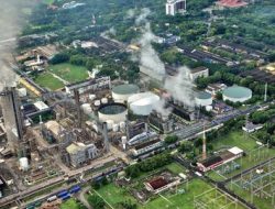 Bangun Pabrik Pupuk di Papua, Pemerintah Optimal Wujudkan Swasembada Pangan