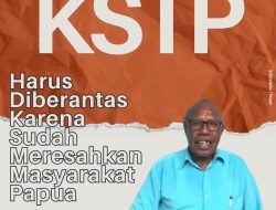 Langgar HAM, KST Harus di Tumpas Demi Perdamaian Papua