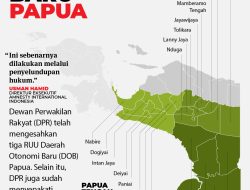 Pemberian DOB Papua Wujud Perhatian Pemerintah untuk Lahirkan Inovasi Pembangunan