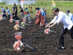 Pemerintah Komitmen Percepat Pembangunan Sektor Pangan di Papua