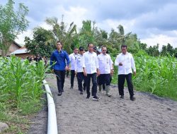 IKN Jadi Titik Pertumbuhan Transformasi Ekonomi Hijau