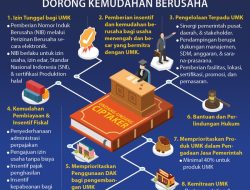 UU Cipta Kerja Terbukti Majukan UMKM