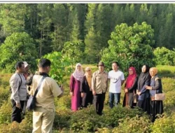 AMANAH Dorong Ketahanan Pangan Ajak Anak Muda Kembangkan Sektor Pertanian Modern