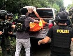 Masyarakat Papua Resah, OPM Kembali Bunuh Warga Sipil di Yahukimo