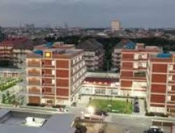 KNPI Sulut : AMN Manado Solusi Peningkatan Kualitas Pendidikan Generasi Muda