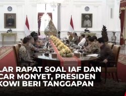 Jokowi Perkuat Koordinasi Lintas Sektor Hadapi Mpox, Menkes Ungkap Strategi Preventif