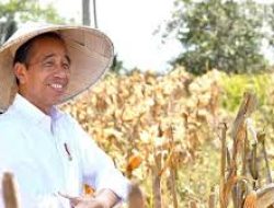 Pengamat: Satu Dekade Era Jokowi, Bidang Ekonomi dan Pangan Alami Kemajuan Signifikan