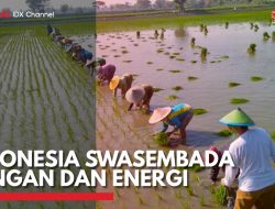 Swasembada Pangan dan Energi Wujud Langkah Strategis Pemerintahan Prabowo-Gibran untuk Kemandirian Bangsa