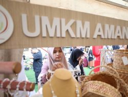 Ratusan Peserta Hadiri Seminar UMKM AMANAH Kolaborasi dengan BEM FISIP Unimal di Aceh