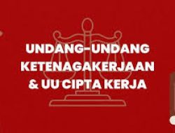 Transformasi Ekonomi Via UU Cipta Kerja Era Presiden Jokowi Akselerasi Bisnis UMKM