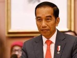 Presiden Jokowi Sukses Membangun Ekonomi yang Adil dan Merata