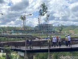 Pembangunan Infrastruktur IKN Bukti Kinerja Presiden Jokowi Investasi Tumbuh Positif