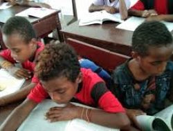 Bakar Sekolah di Papua, OPM Hancurkan Masa Depan Generasi Muda