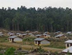 Transmigrasi Lokal dan Pasar Modern Jadi Upaya Pemerintah Wujudkan Revitalisasi Ekonomi Papua
