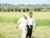 Stok Beras Melonjak, Swasembada Pangan Jadi Kenyataan di Era Presiden Prabowo