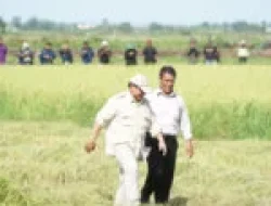 Pemerintah Selenggarakan Pelatihan Demi Tingkatkan Kompetensi untuk Mempercepat Swasembada Pangan