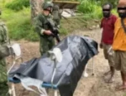 Pastikan Tindak Tegas OPM Bukan Masyarakat Sipil, Pemerintah Wujudkan Stabilitas Keamanan di Papua