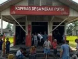 Koperasi Merah Putih: Strategi Pemerintah Kembangkan Ekonomi Pedesaan