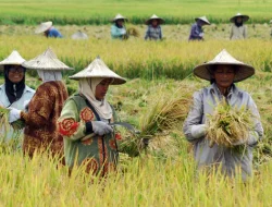 Kolaborasi Pemerintah dan Swasta Kunci Sukses Swasembada Pangan