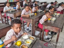 Membangun Generasi Sehat Papua Lewat Makan Bergizi Gratis
