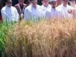 Apresiasi Elemen Masyarakat Gagas Program Gerakan Indonesia Menanam Dukung Target Swasembada Pangan