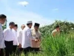 Gerakan Indonesia Menanam Dukung Swasembada Pangan Nasional