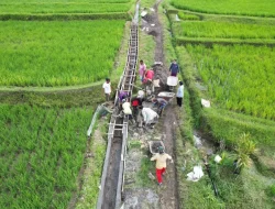 Swasembada Pangan Bukti Konkret Pemerintah Wujudkan Kemandirian Bangsa